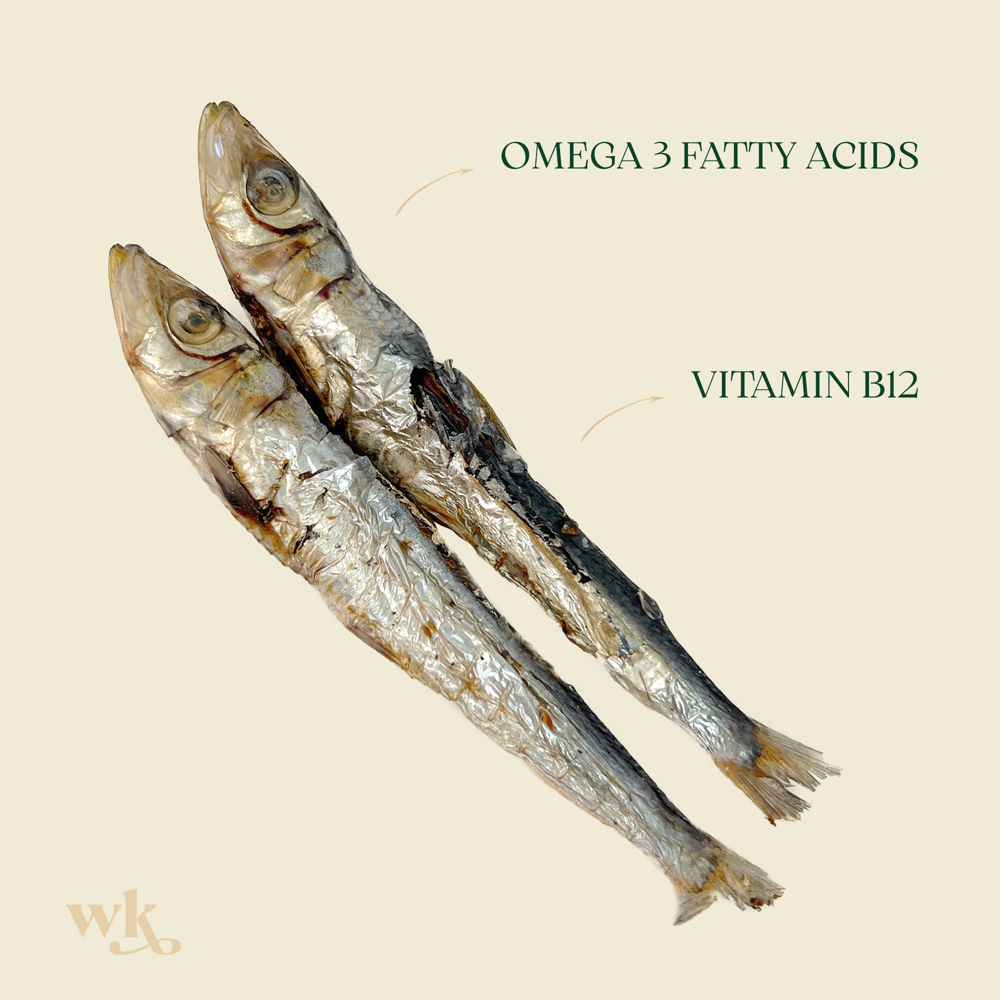 Southern Ocean Pilchards