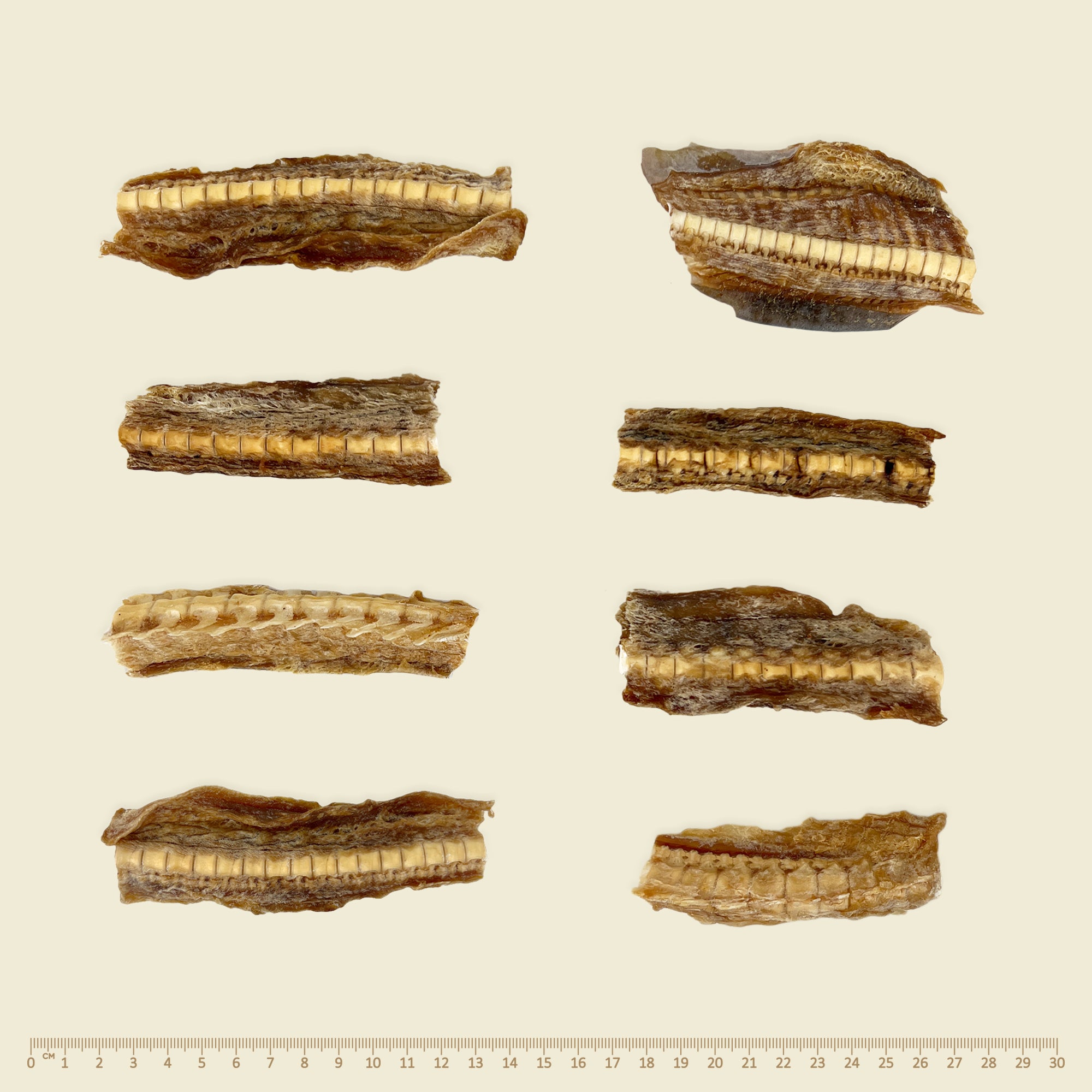 Southern Shark Cartilage