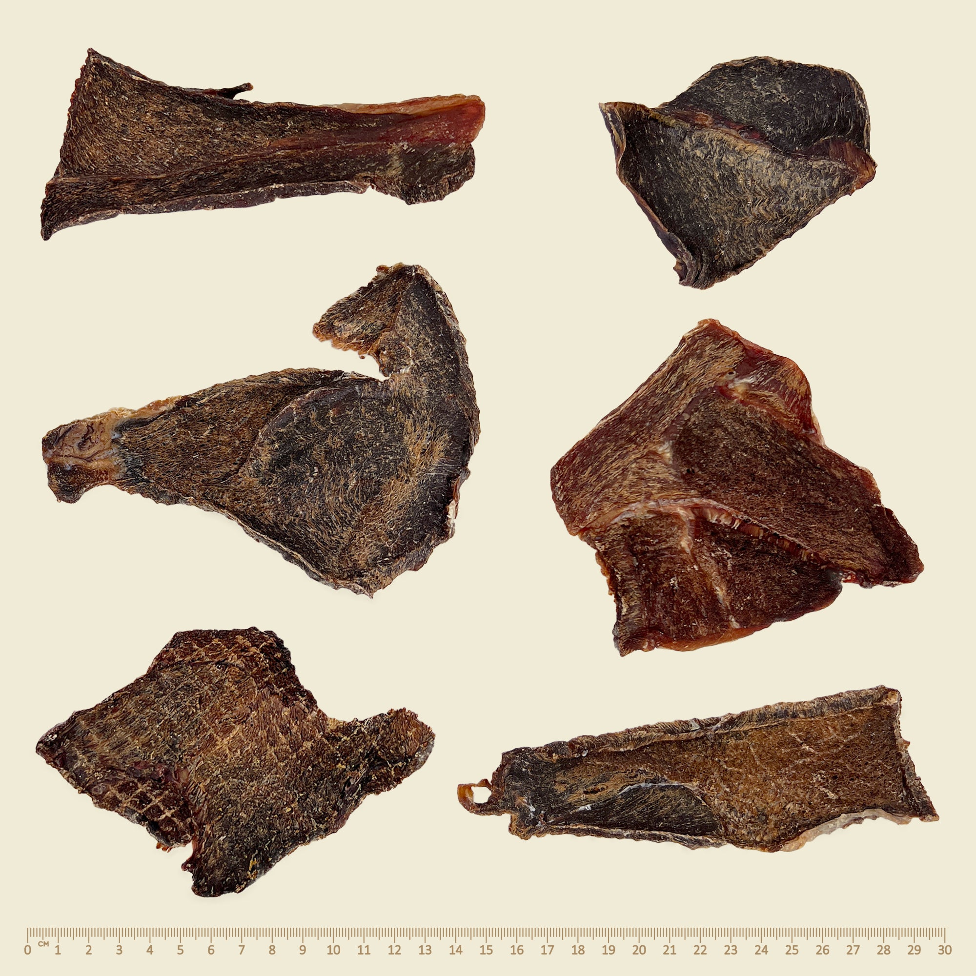 Western Desert Camel Jerky